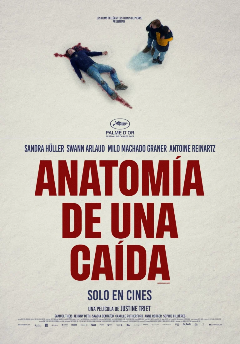 poster de la película anatomia de una caida