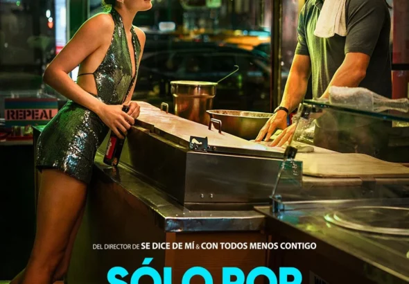 poster de la pelicula solo por una noche