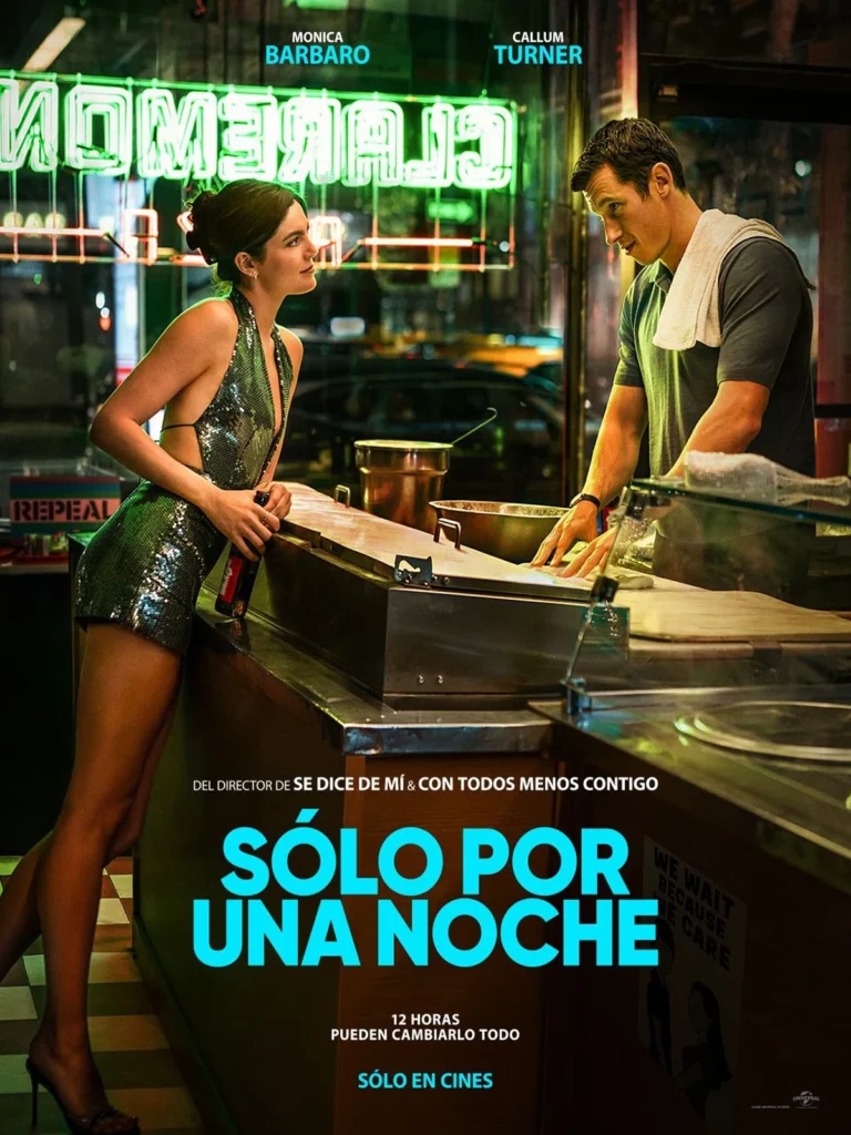 poster de la pelicula solo por una noche