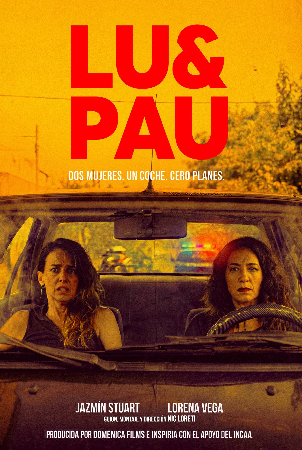 poster de la película Lu y Pau
