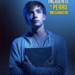poster de la obra el curioso incidente del perro a medianoche